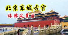 小骚货被干哭在线观看中国北京-东城古宫旅游风景区
